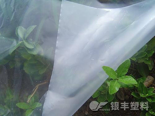 银丰流滴双防膜产品图片