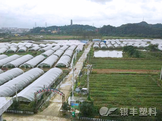 河北省石家庄滴灌带案例